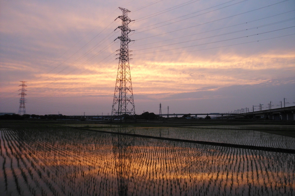 2015/06/14_水田の夕暮れ、天使の梯子