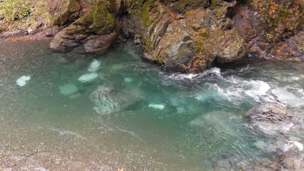 2013/11/02_中津川の流れ