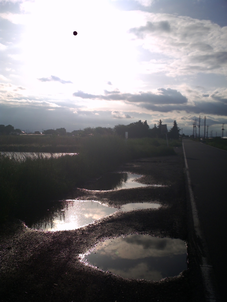 2017/05/14_水溜まりに晴れ間