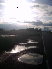 2017/05/14_水溜まりに晴れ間