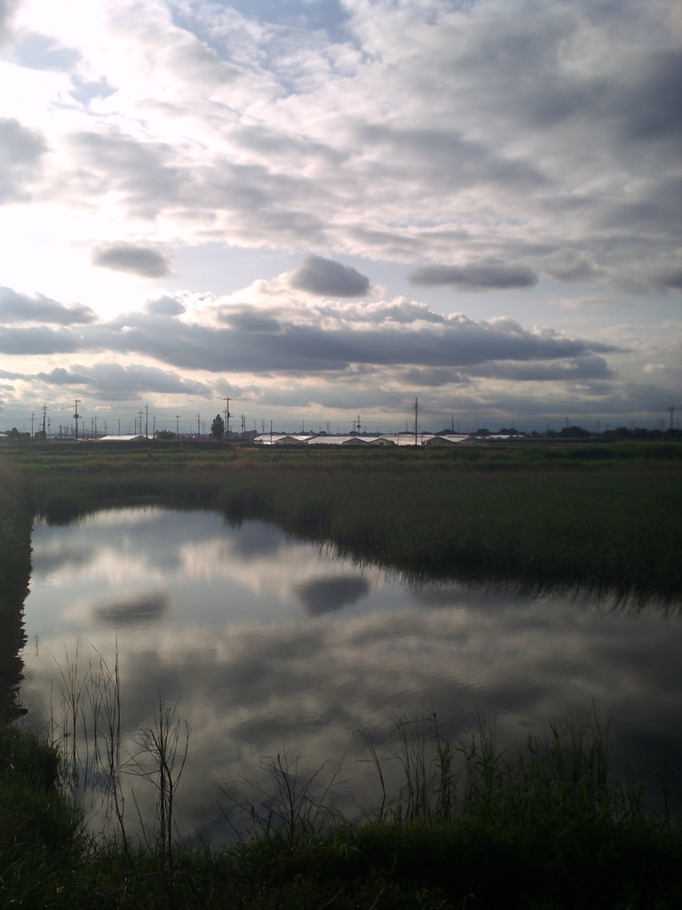 2017/05/14_溜め池に雲