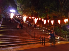 2017/04/06_夜の上野公園