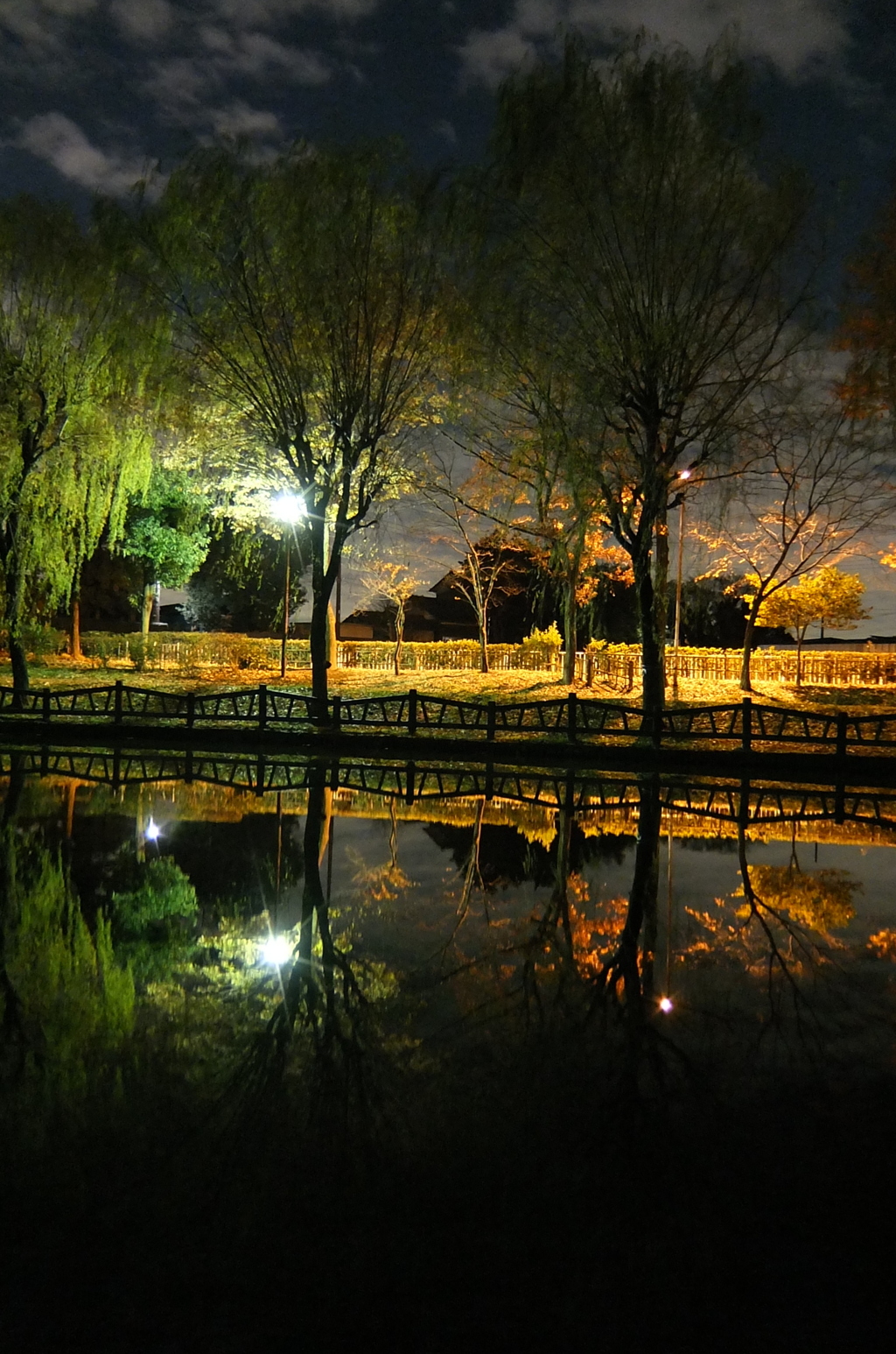 2014/12/06_夜の北本総合公園