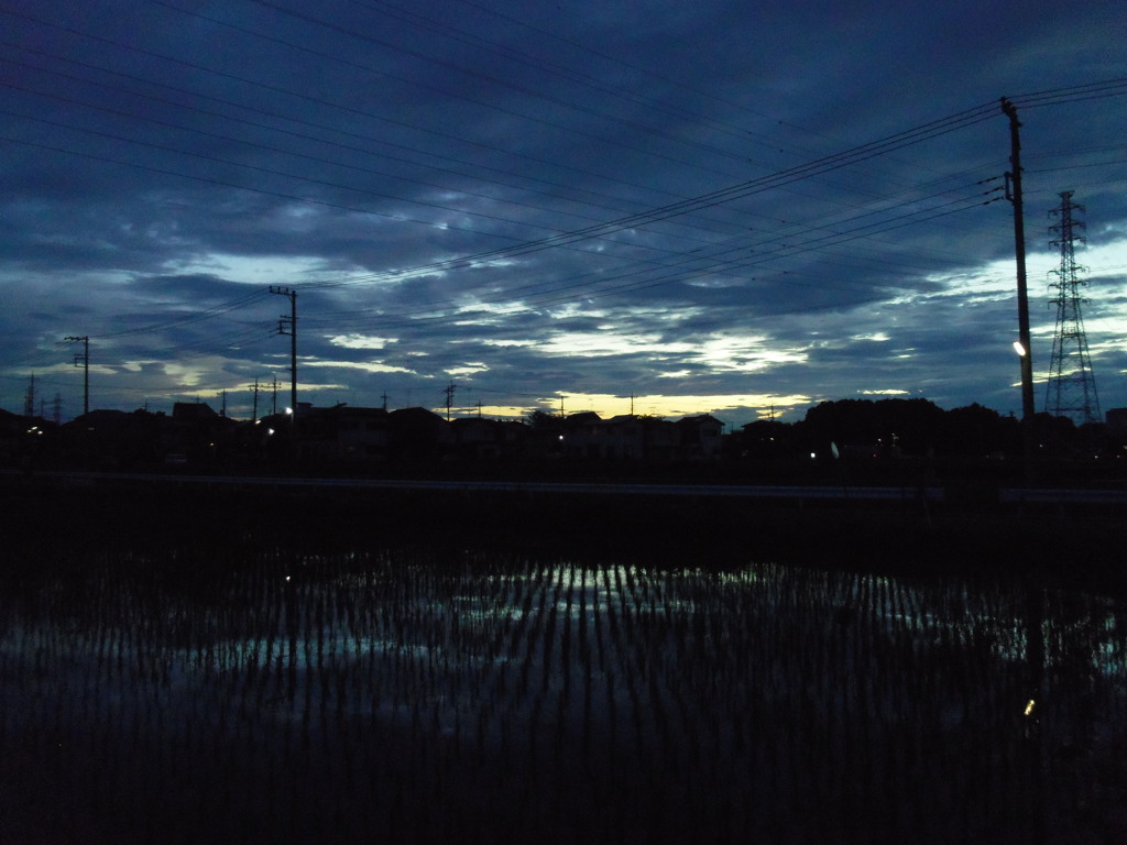 2017/07/01_水田の夕暮れ