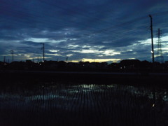 2017/07/01_水田の夕暮れ
