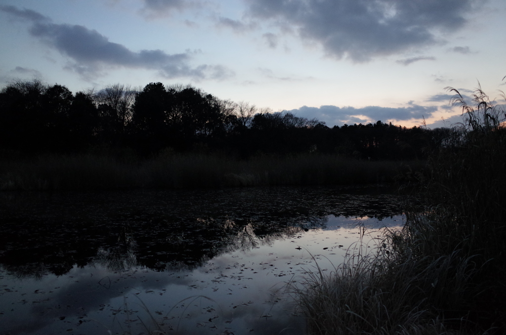 2015/12/31_赤坂沼の夕暮れ