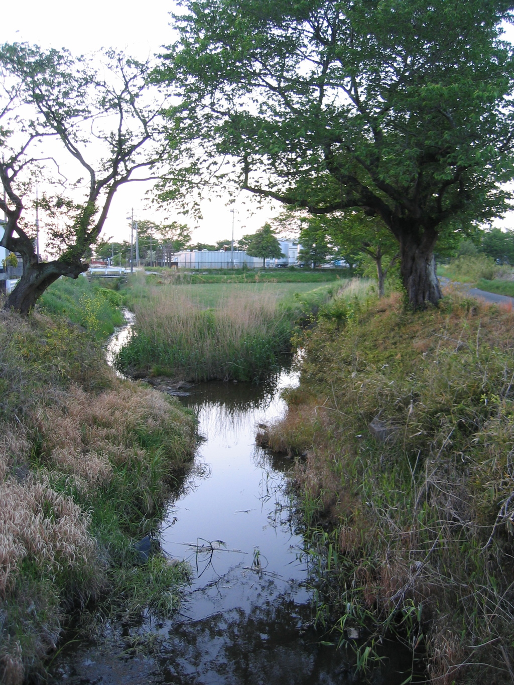 2017/05/04_夕暮れの栢間赤堀