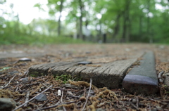 2016/05/01_トロッコ公園の踏切