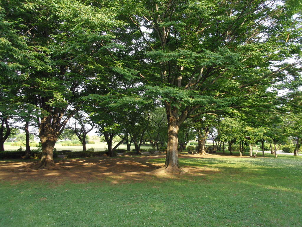 2017/07/09_さきたま古墳公園