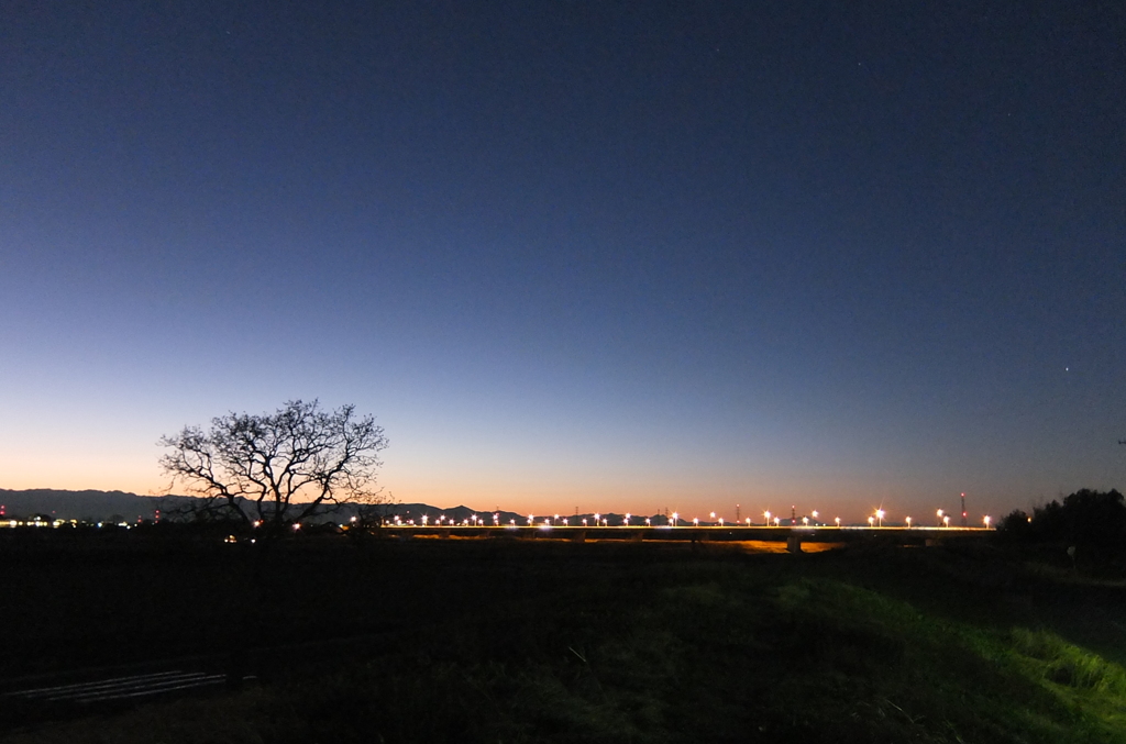 2014/01/19_夕暮れの木と太郎右衛門橋