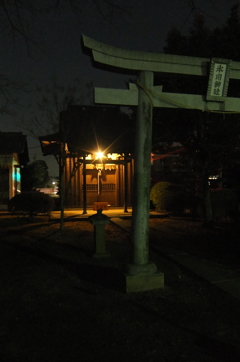 2015/01/24_夜の氷川神社