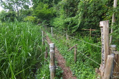 2014/06/21_ホタルの里