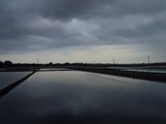 2017/05/27_水田の曇天