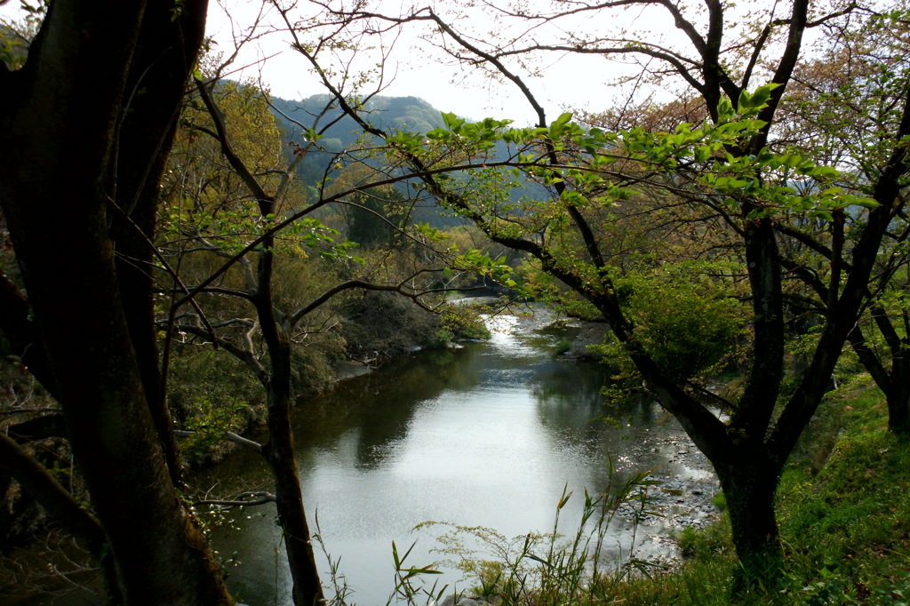 2014/04/19_槻川の流れ