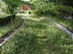 2017/05/14_後野公園