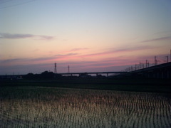 2016/06/18_水田の夕暮れ（没カット）