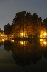 2014/11/24_夜の別所沼公園