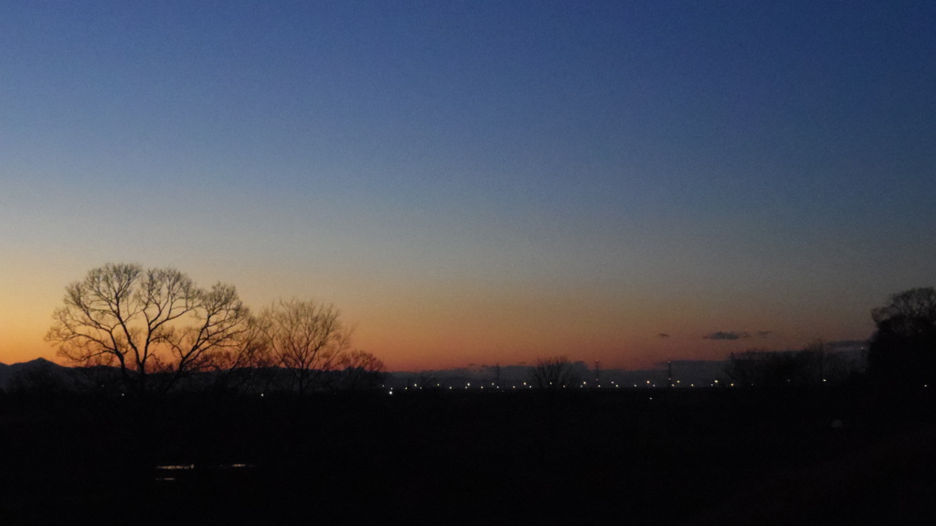 2013/12/30_夕暮れの木と太郎右衛門橋