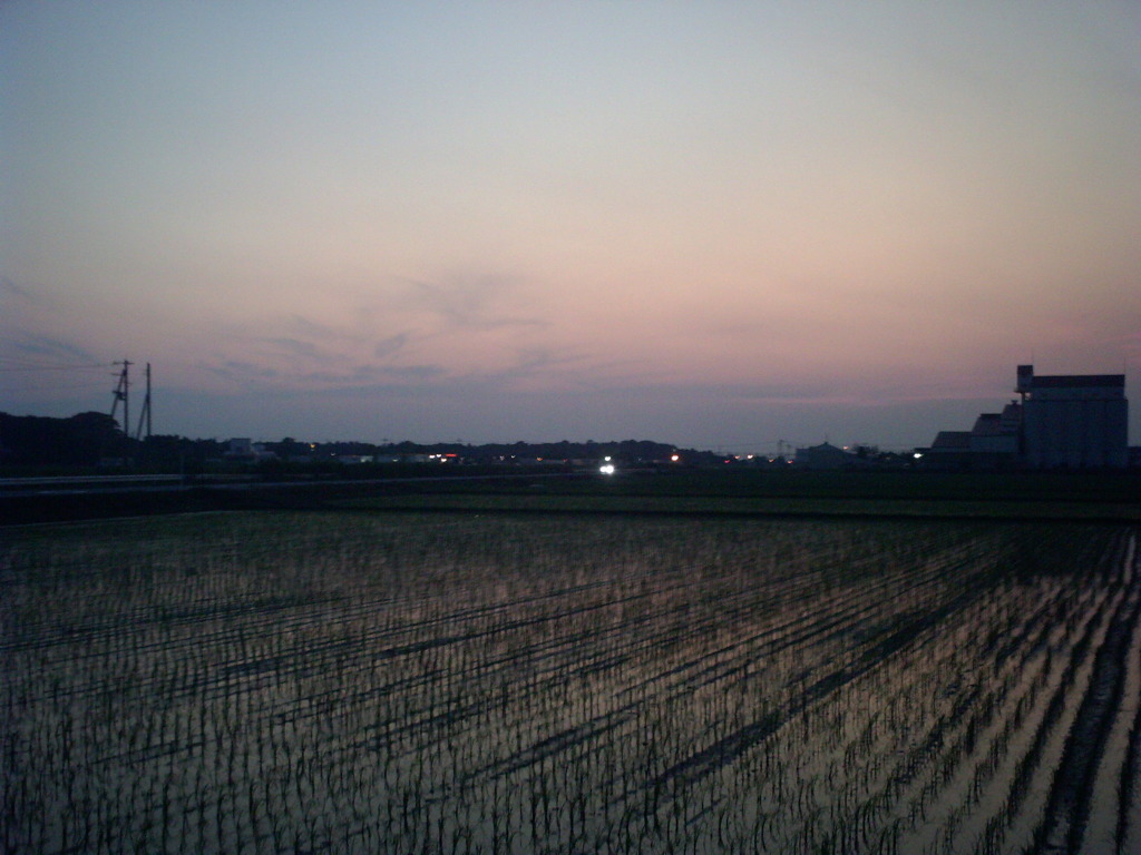 2015/07/11_水田の夕暮れ