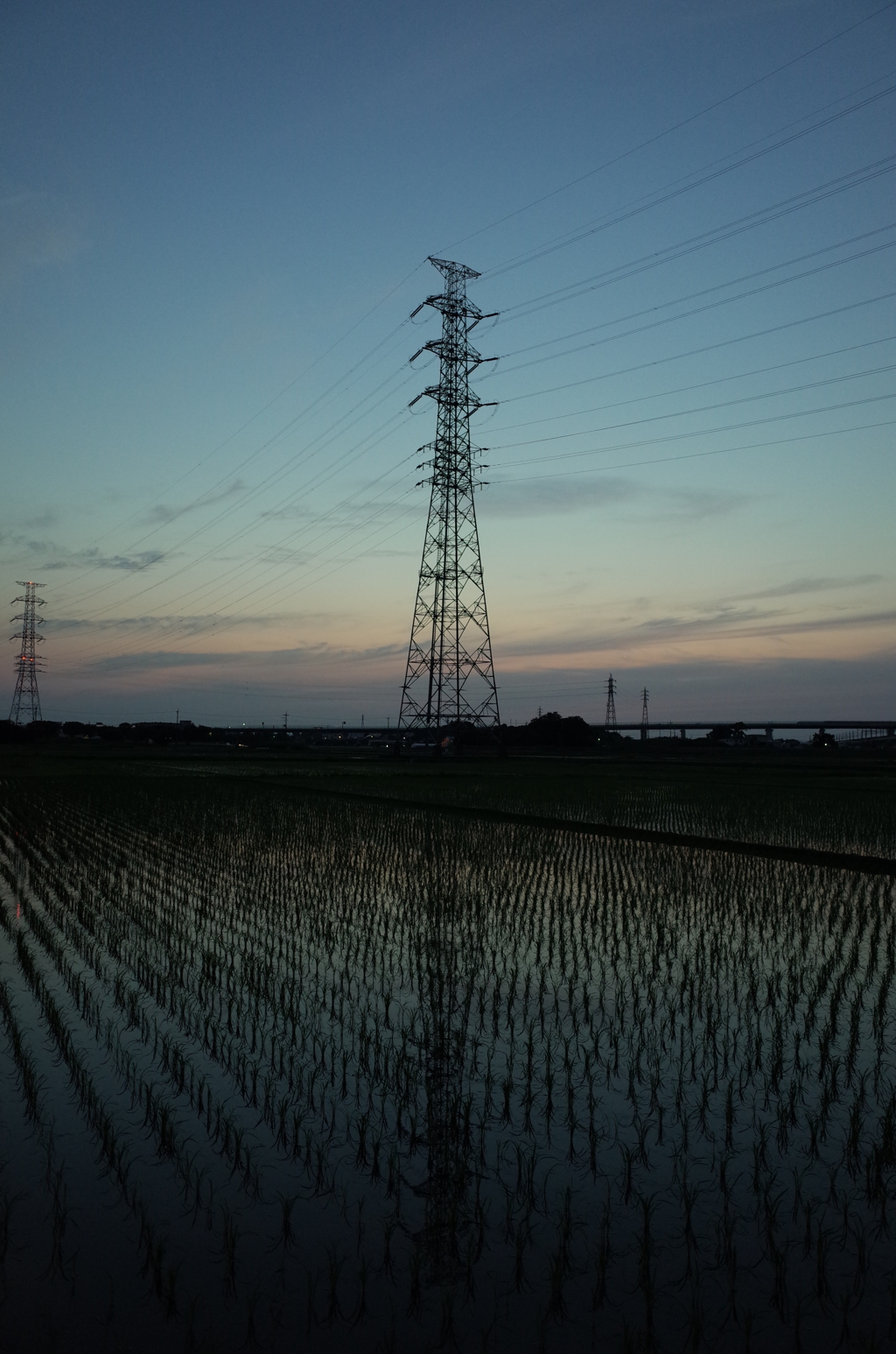 2016/06/18_水田の夕暮れ