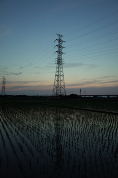2016/06/18_水田の夕暮れ
