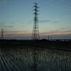 2016/06/18_水田の夕暮れ
