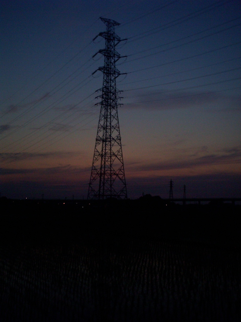 2016/06/18_水田の夕暮れ