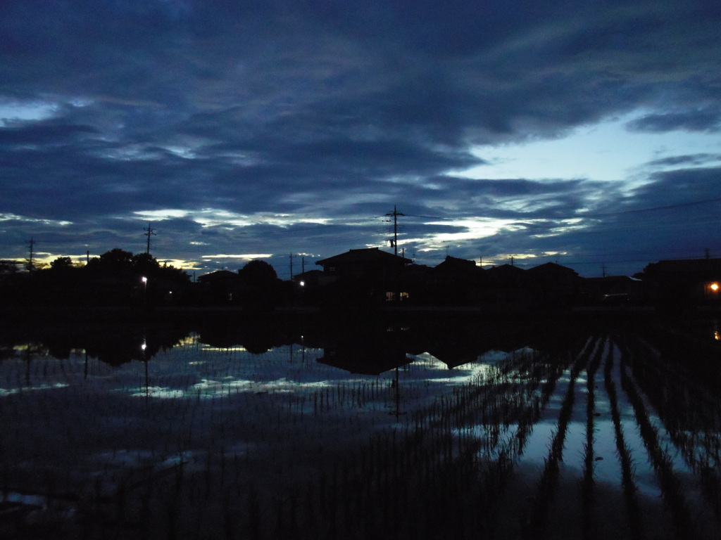 2017/07/01_水田の夕暮れ