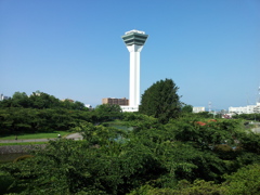 2016/08/13_五稜郭公園から五稜郭タワーを望む