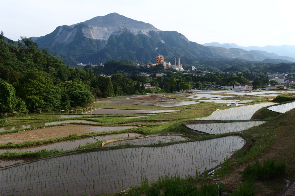 2015/05/23_寺坂棚田と武甲山