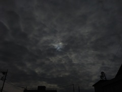 2016/11/07_曇天に太陽