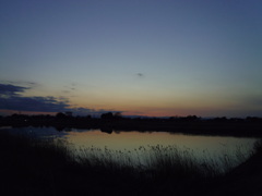 2017/02/19_溜め池の夕暮れ