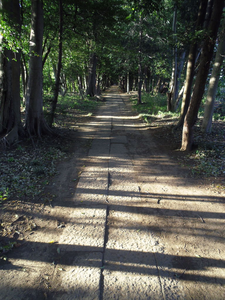 2017/05/04_神明神社参道