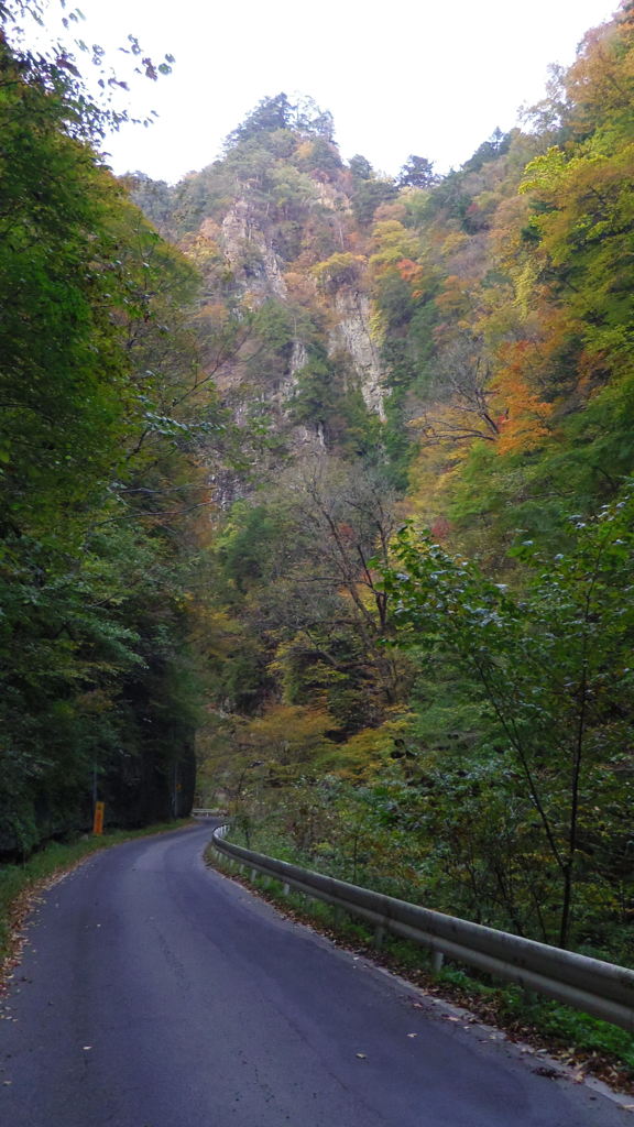 2013/11/02_中津峡の紅葉