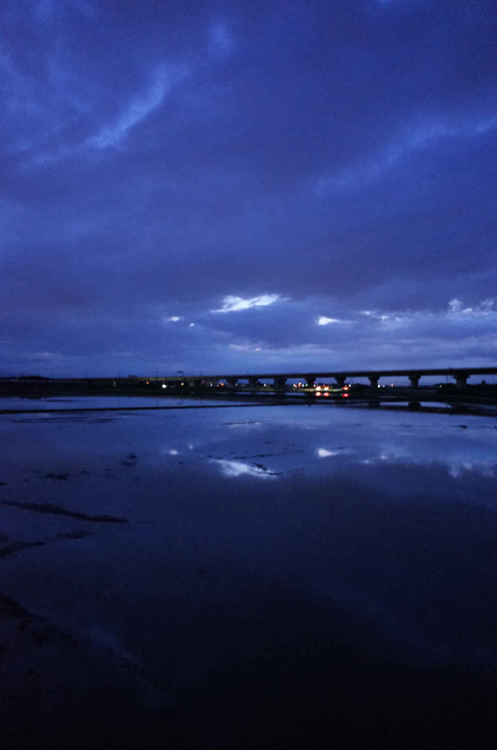 2015/06/21_水田の夕暮れ