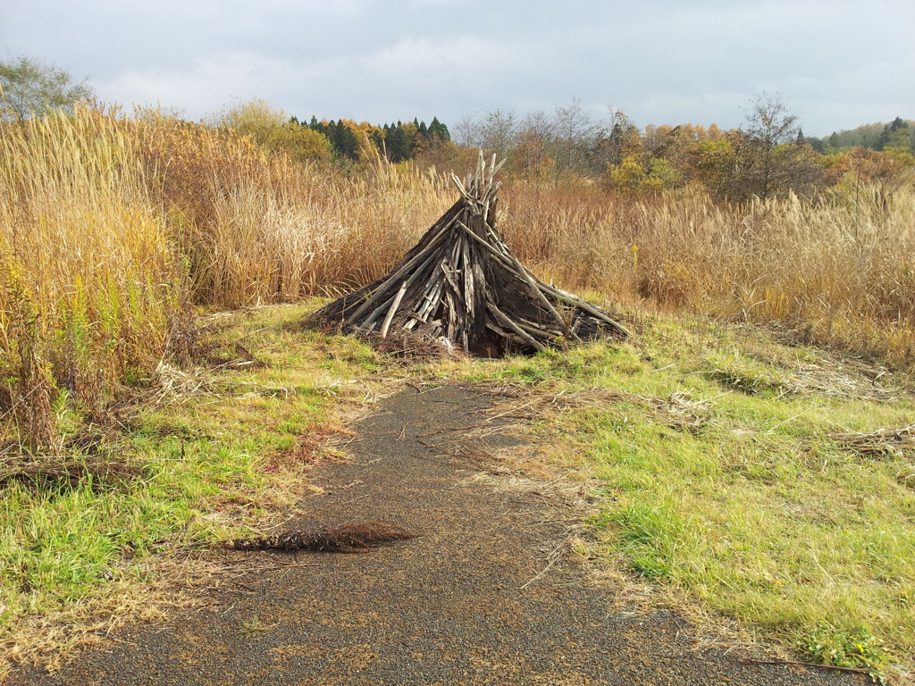 2016/11/13_三内丸山遺跡