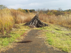 2016/11/13_三内丸山遺跡