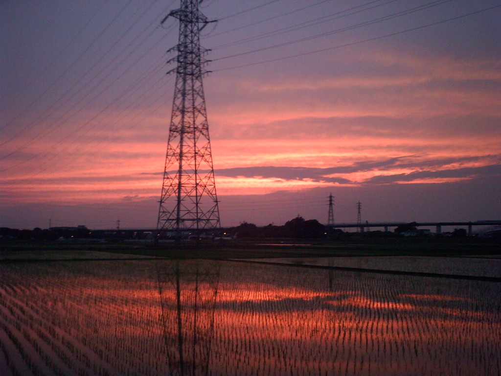 2015/06/14_水田の夕暮れ
