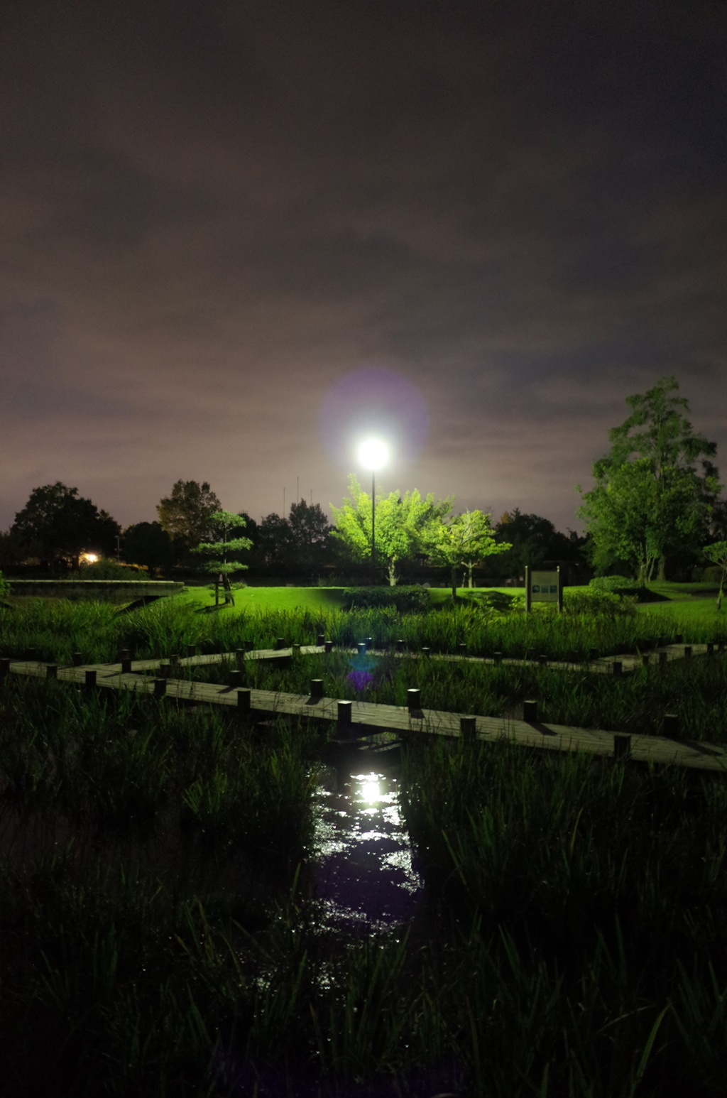 2015/10/04_夕暮れの平成の森公園