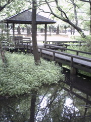 2015/07/05_伊奈町制施行記念公園