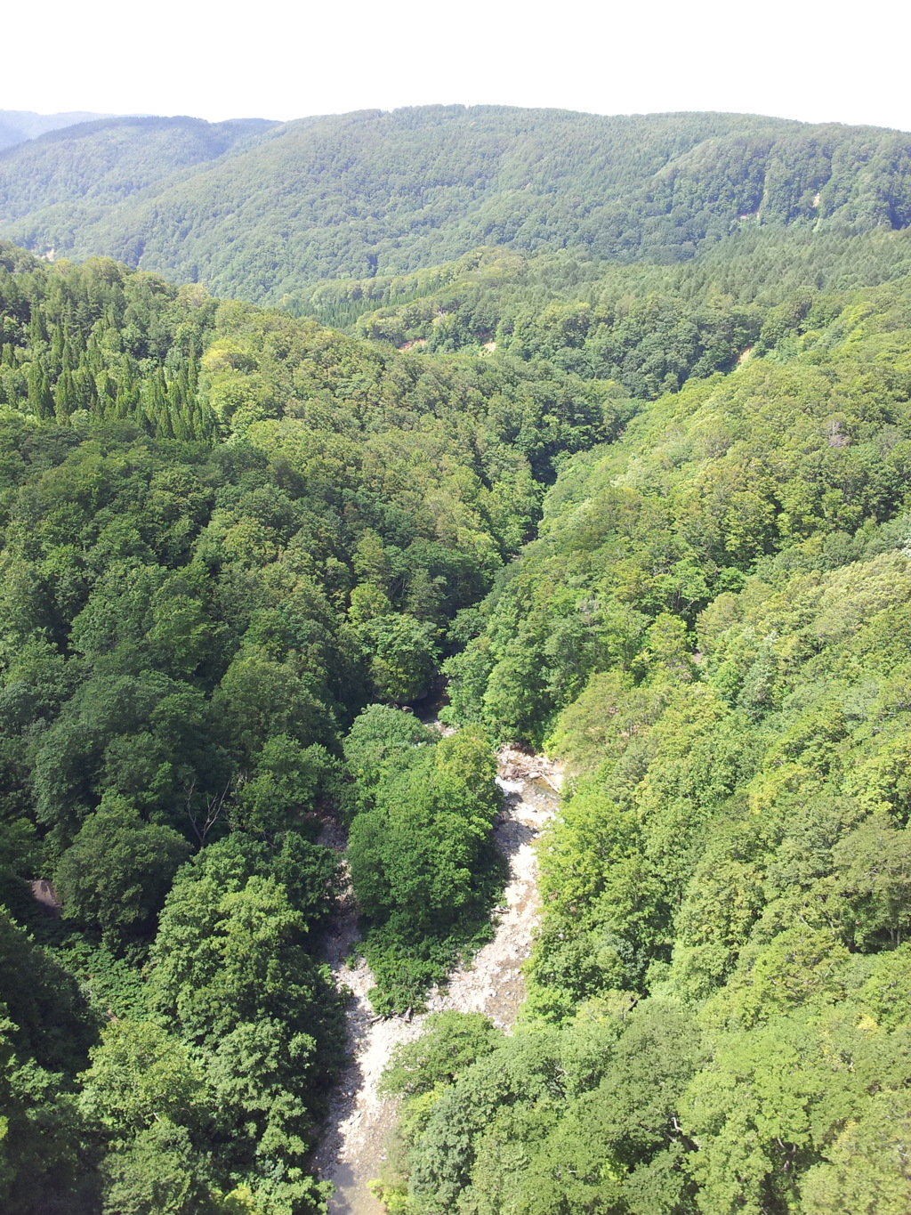 2018/07/15_城ヶ倉大橋から堤川下流を望む