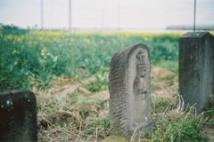 2016/04/03_馬頭観音群