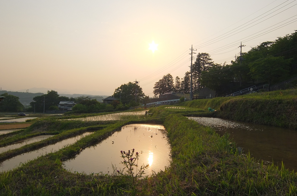 2014/05/25_夕暮れの寺坂棚田