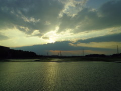 2017/06/10_水田に西日