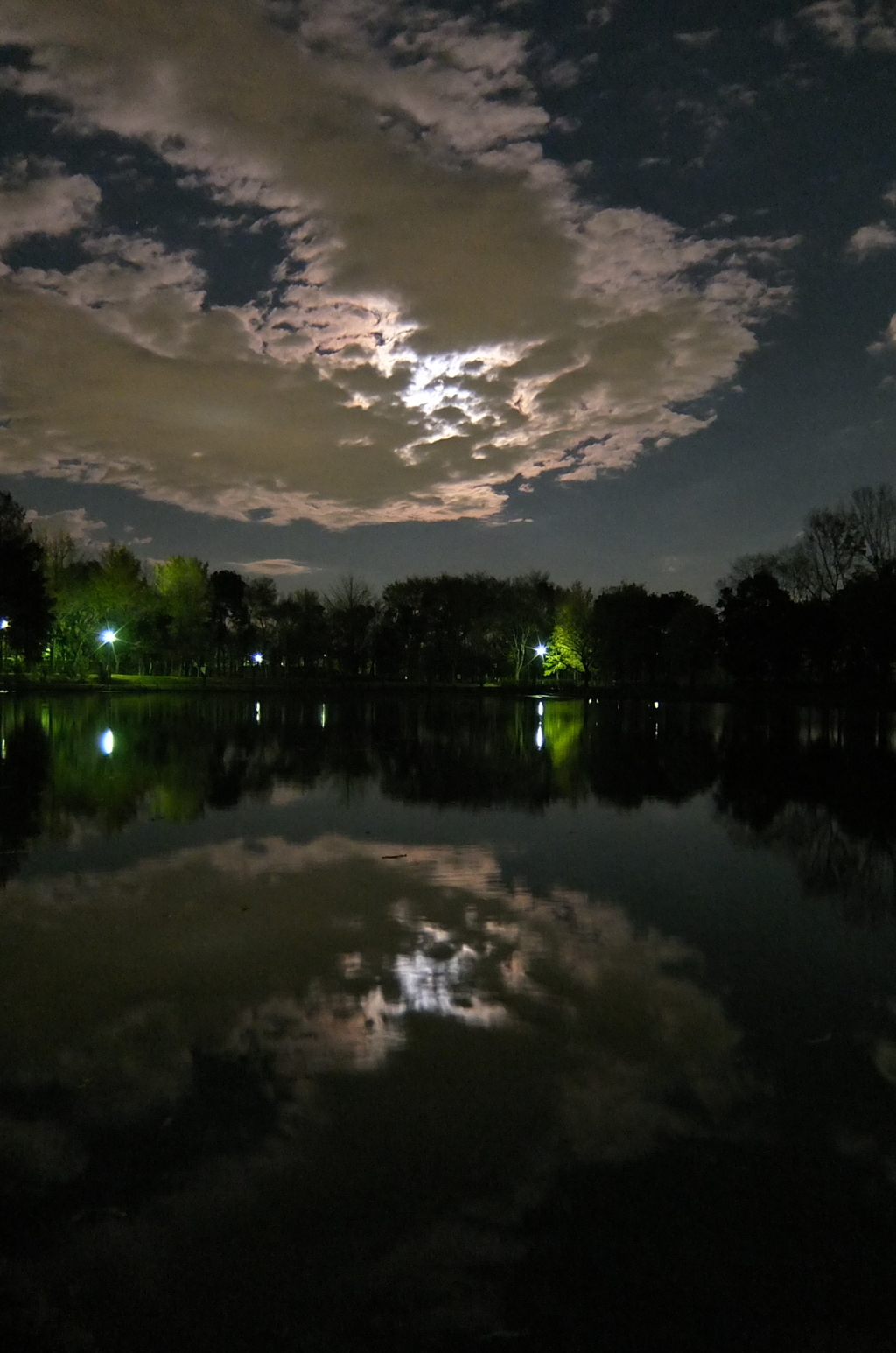 2014/12/06_月夜の北本総合公園