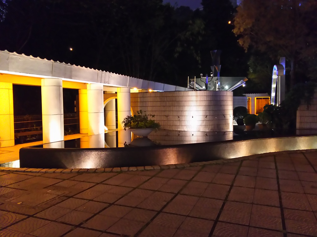2017/03/12_夜の香港公園 太極園