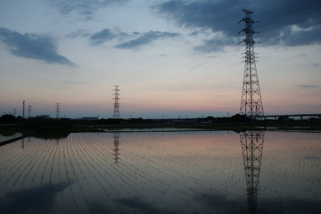 2016/06/05_水田の夕暮れ