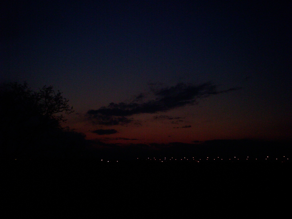 2014/03/09_夕暮れの木と太郎右衛門橋