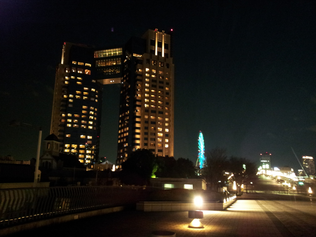 2014/01/01_夜のホテルトラスティ東京ベイサイドとパレットタウン大観覧車