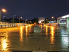 2016/05/06_夜、雨上がりのパンダ橋